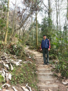 a trail in Mount Qingcheng